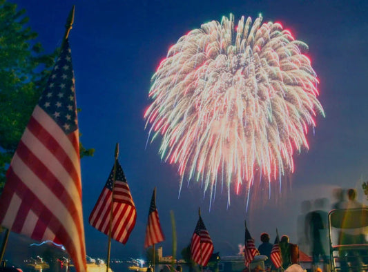 Securing Your Independence in IT: Essential Tips for the 4th of July Week - TK Tech Services